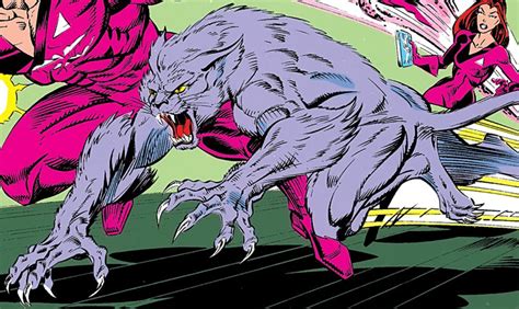 catseye marvel|Catseye Technology.